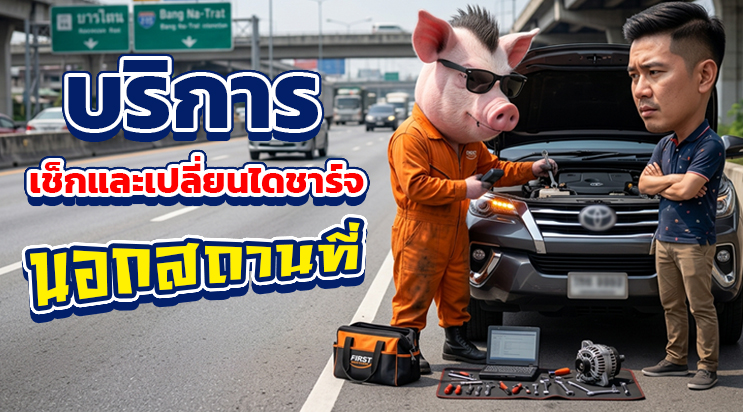 ภาพผลงานจริง